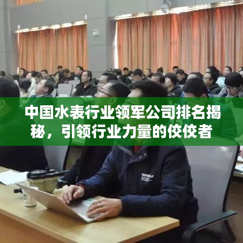中国水表行业领军公司排名揭秘，引领行业力量的佼佼者