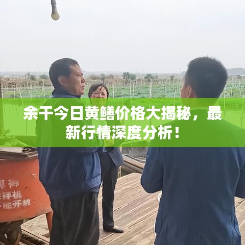 余干今日黄鳝价格大揭秘，最新行情深度分析！