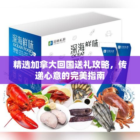 精选加拿大回国送礼攻略，传递心意的完美指南