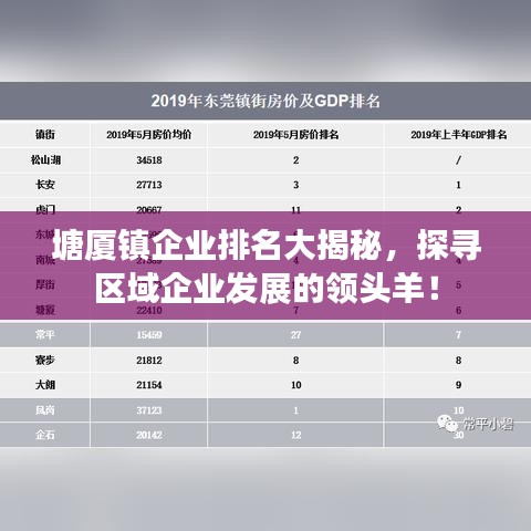 塘厦镇企业排名大揭秘，探寻区域企业发展的领头羊！