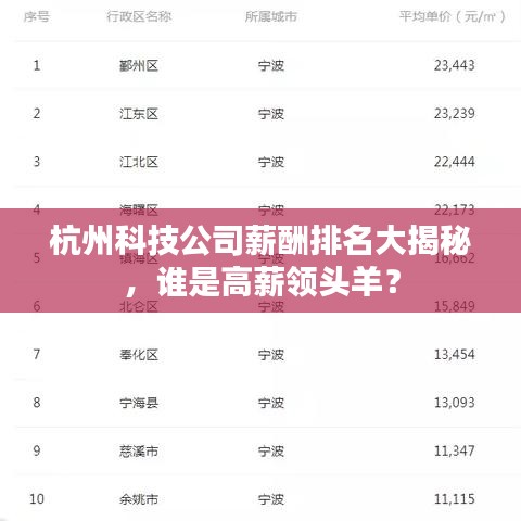 杭州科技公司薪酬排名大揭秘，谁是高薪领头羊？