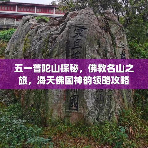 五一普陀山探秘，佛教名山之旅，海天佛国神韵领略攻略