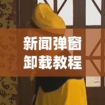 新闻弹窗卸载教程，打造清爽阅读体验