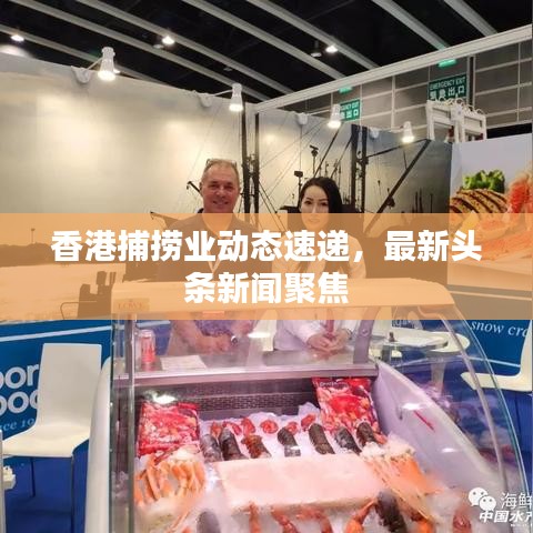 香港捕捞业动态速递，最新头条新闻聚焦