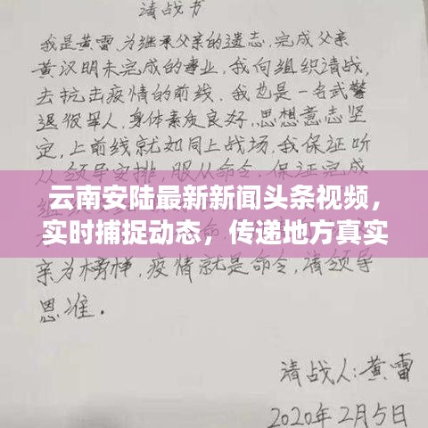 云南安陆最新新闻头条视频，实时捕捉动态，传递地方真实声音